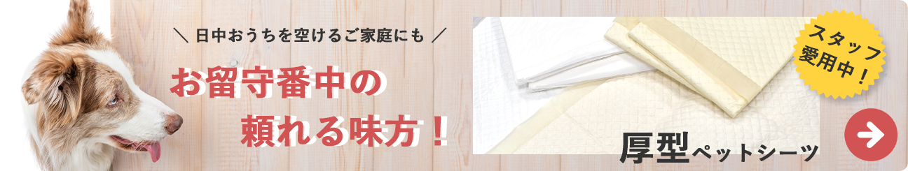厚型おすすめ