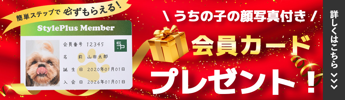 会員証プレゼント