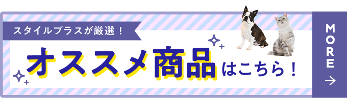 おすすめ商品はこちら！
