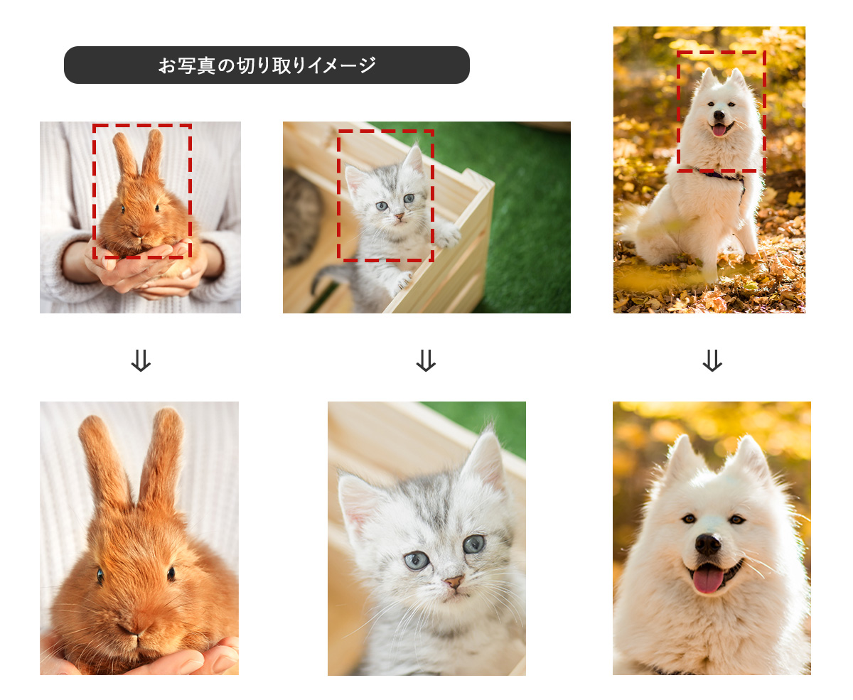 スタイルプラスオリジナル会員証