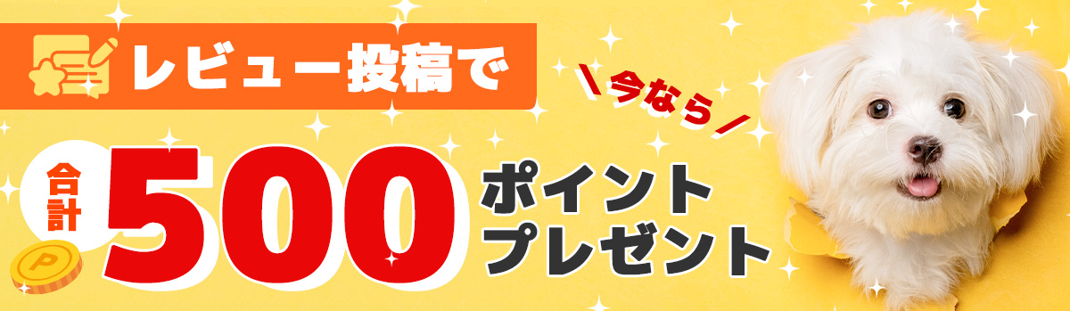 レビューを書いて半額相当キャッシュバック