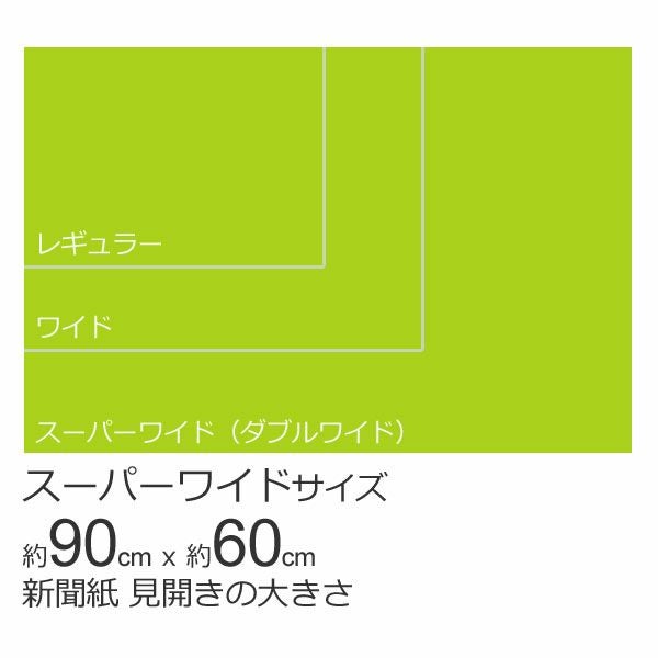 厚型しつけ用ペットシーツ におい付き スーパーワイド 80枚（20枚×4袋）（ダブルワイド）