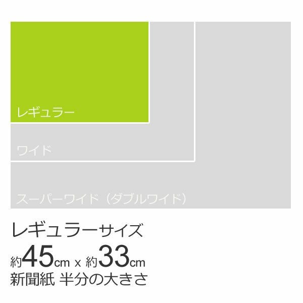 厚型 しつけ用 ペットシーツ におい付き　レギュラー