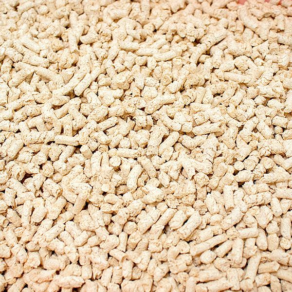 国産　コーチョー　ネオ砂　ヒノキ