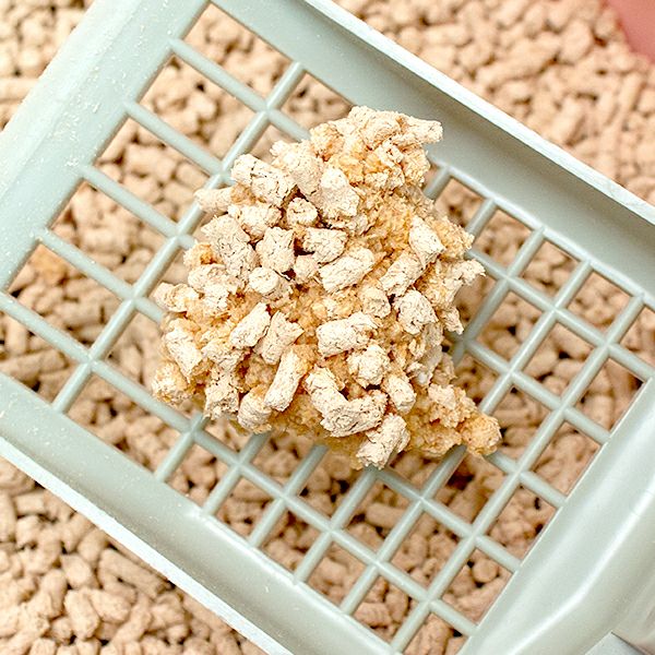 国産　コーチョー　ネオ砂　ヒノキ