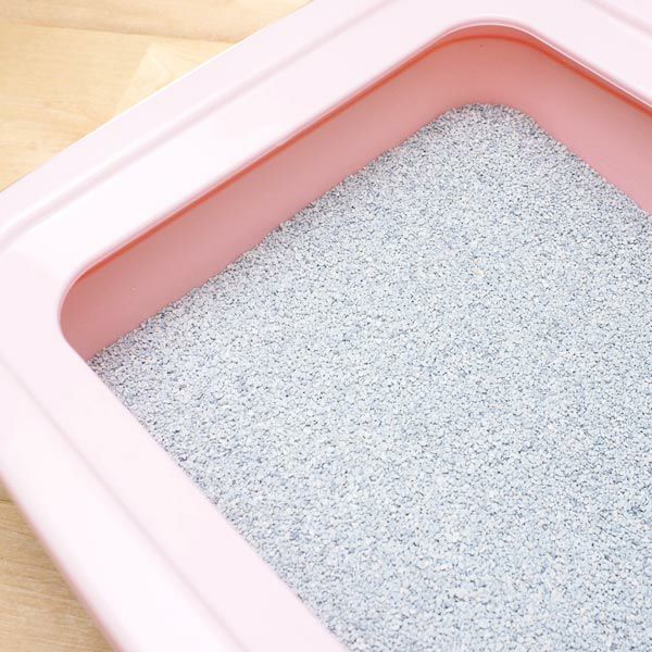 インターサンド　猫砂　オードロック