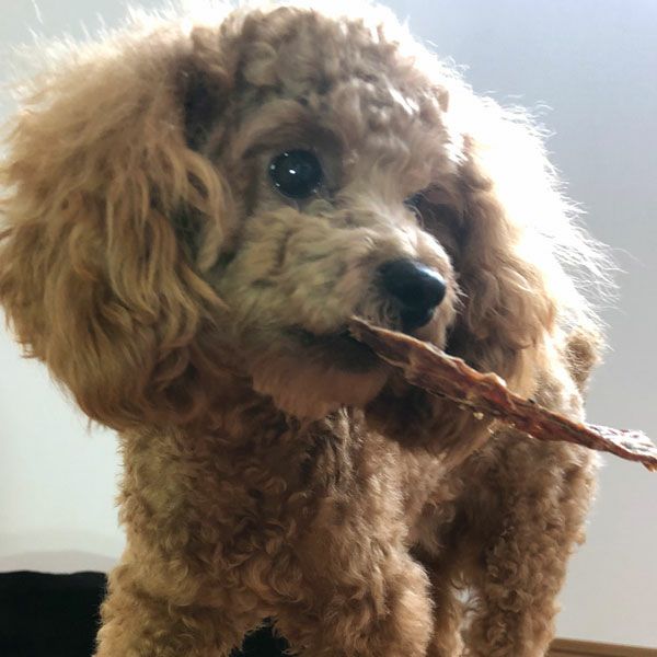 ZEAL　フリーレンジ　仔牛のジャーキー　125g