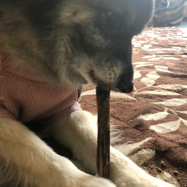 ZEAL　フリーレンジ　仔牛のスペアリブ　125g