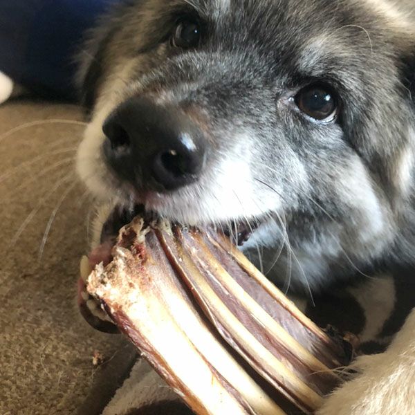 ZEAL　フリーレンジ　仔牛のあばら　150g